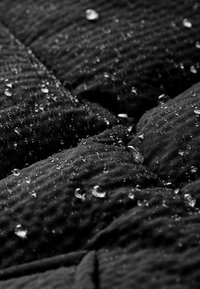Next SHOWER RESISTANT TEXTURED PADDED  REGULAR FIT - Vinterjakker - black