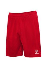 Röda sportshorts i lättviktsmaterial med resårlinning. Har en vit logotyp på nedre högra benet. Enkel, omotiverad design.