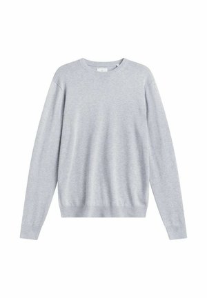 Grauer Pullover mit Rundhalsausschnitt, langen Ärmeln, gerippten Bündchen und Saum, gefertigt aus weichem Stoff mit glatter Oberfläche. Keine sichtbaren Muster oder Akzente.