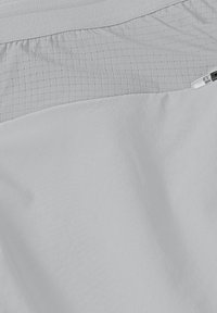 Lichtgrijze sportshorts met een getextureerde elastische tailleband en een gladde stof; omvat een klein ritsvak aan de zijkant.