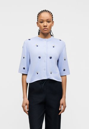 Young person with braided hair wearing a light blue buttoned cardigan with small embroidered berries and black pants.