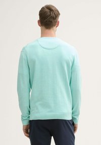 Licht teal crewneck trui met lange mouwen, ribgebreide manchetten en zoom, soepele textuur, met een subtiele stikseldetail aan de achterkant.