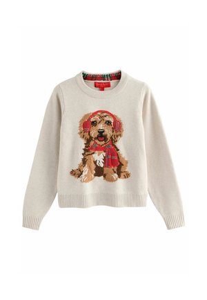 Beiger Pullover mit einem braunen Hund, der rote Ohrenschützer und einen passenden roten Schal mit grünen Mustern trägt.