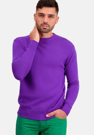 Mahogany TOURAINE-FIRST - Strickpullover - purple