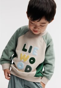 Flerfarget sweatshirt med "LIE WOOD" i teksturerte, broderte bokstaver. Raglanermer i grønn, beige kropp og ribbestrikkede mansjetter.