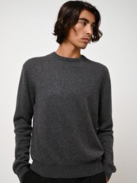 Grauer Strickpullover mit Rundhalsausschnitt, langen Ärmeln und glatter Textur. Der Schnitt ist lässig mit einem gerippten Saum und Bündchen.