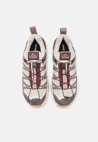 Salomon X ULTRA 360 EDGE GTX - Pantofi drumeție - silver cloud/iron/rum raisin