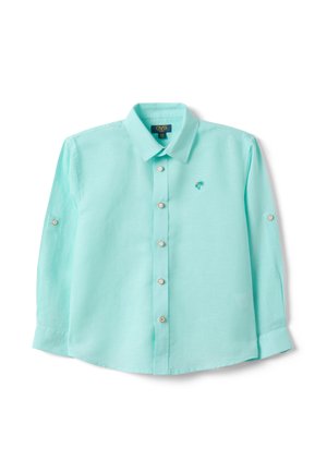 Chemise bleu clair à manches longues avec col, petite broderie de palmier sur la poitrine, et pattes de boutonnage sur les manches pour les retrousser.