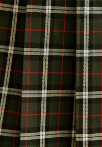 Tessuto tartan verde con un classico motivo a quadri, arricchito da accenti rossi, bianchi e blu, che presenta una trama testurizzata.