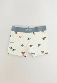 Next - Panty