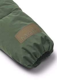Molo HAYDEN JACKET UNISEX - Giacca invernale - dark forest