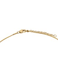 Złota naszyjnik o gładkim, elastycznym łańcuszku i mocnym zapięciu na lobster. Posiada regulowaną długość z dodatkowymi ogniwami.