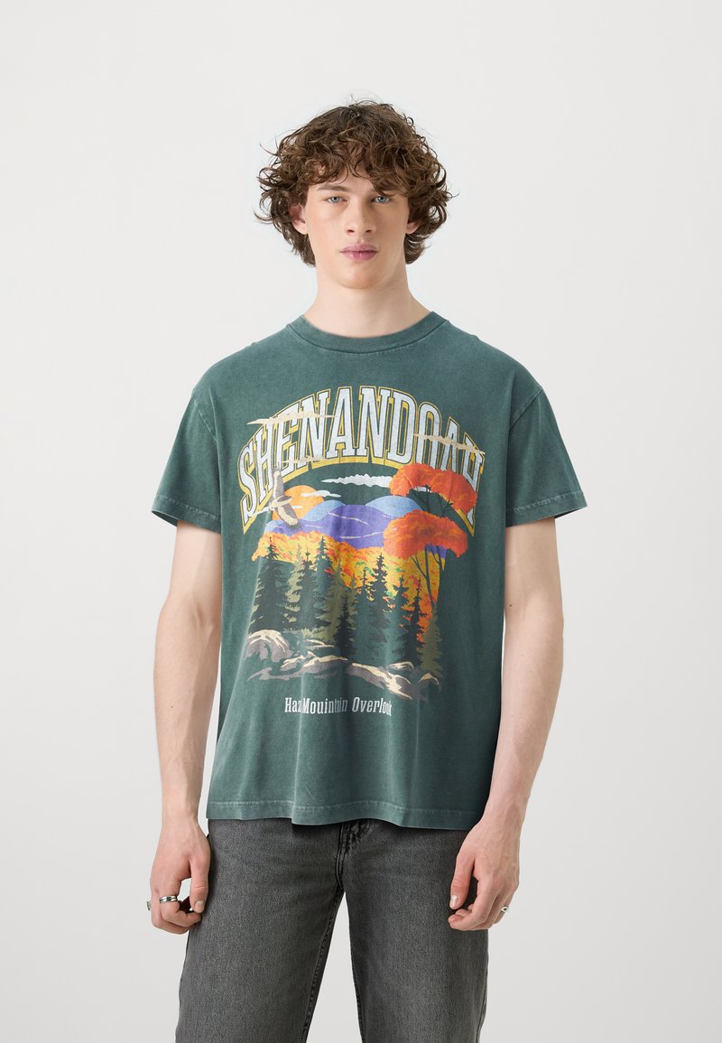 Abercrombie & Fitch NATIONAL PARKS - Print T-shirt - scarab/acid wash