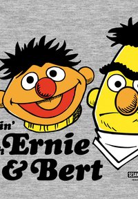 Camiseta gris con los personajes de dibujos animados Ernie y Bert. Ernie tiene piel naranja, cabello negro y un collar amarillo; Bert es amarillo con cabello oscuro y un collar blanco.