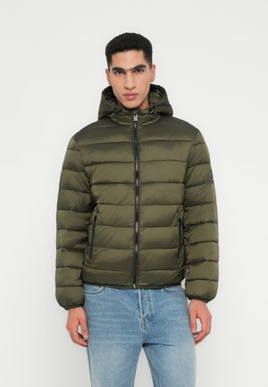 LIGHT PADDED JACKET - Vinterjakker - forest night