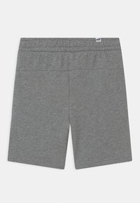 Graue Baumwollshorts mit elastischem Bund, die eine glatte Textur und zwei Gesäßtaschen aufweisen. Enthält ein kleines Logoschild am Bund.