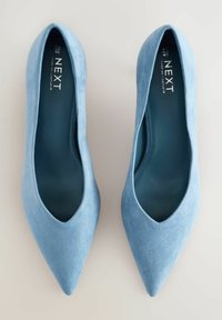 Zapatos de tacón alto de ante azul claro con punta afilada y diseño en forma de V. El interior cuenta con un forro azul oscuro y el logotipo de la marca.
