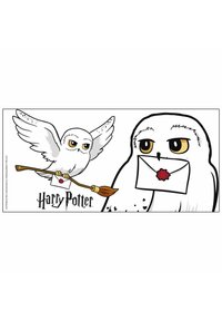 Harry Potter Drink bottle - weiß