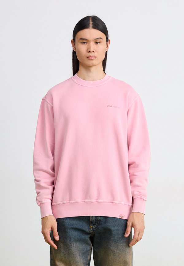 PLENTYWOOD  - Sweatshirt - lilas