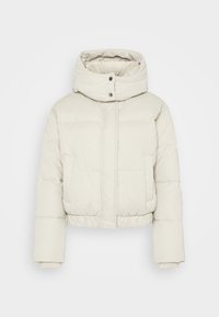 Abercrombie & Fitch Giacca invernale - light brown