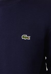Maglione a maglia blu navy con un piccolo logo di coccodrillo ricamato in verde sul lato sinistro del petto. Design a girocollo, texture liscia.