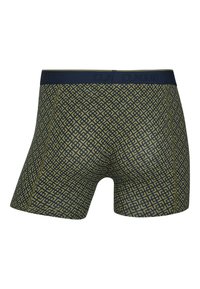 Claudio 2-PACK  - Trunks - brown