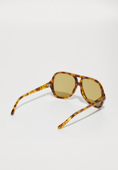 CHLOÉ CH0289S - Sunglasses - havana/green