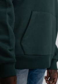 Petrol Industries Hoodie - bottle