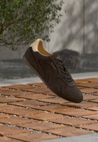 Επιλέχθηκε, dark brown