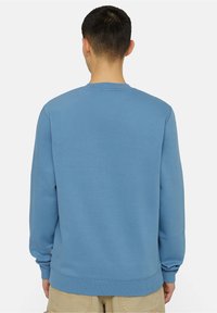 Ljusblå sweatshirt i bomull med rund halsringning, långa ärmar och ribbad mudd och nederkant. Enkel design utan mönster eller logotyper.