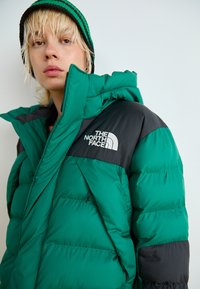 The North Face W LIMBARA INSULATED PARKA - Ziemas mētelis - evergreen