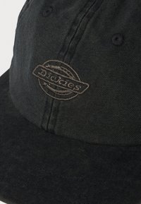 Zwarte stoffen baseballpet met gestikt Dickies-logo in donkergrijs op het voorpaneel.