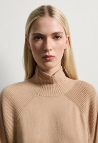 Beigefarbener Rollkragenpullover aus weicher Strickware, mit gerippten Akzenten am Kragen und an den Schultern, im entspannten Schnitt.