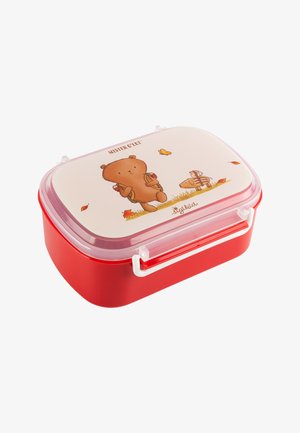 Red rectangular lunch box with a transparent lid featuring a bear illustration, white hardware, and a smooth textured surface.