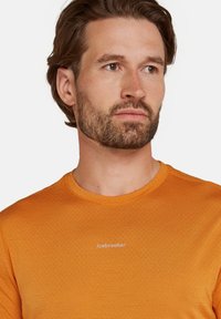 icebreaker - T-shirt basic
