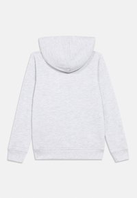 Camisola com capuz de algodão cinza claro, textura suave, mangas compridas e capuz com cordão. Apresenta punhos e bainha canelados. Vista traseira mostrada.