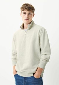 Light grey quarter-zip pullover sweatshirt in soft fabric, featuring a stand-up collar, long sleeves, and ribbed cuffs. Casual fit design.