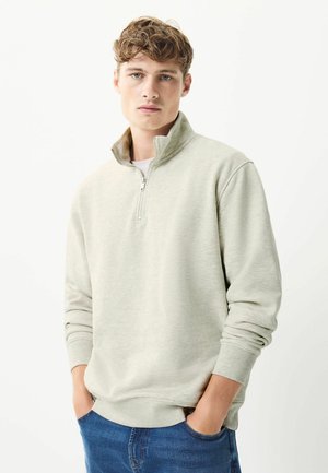 Light grey quarter-zip pullover sweatshirt in soft fabric, featuring a stand-up collar, long sleeves, and ribbed cuffs. Casual fit design.
