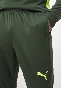 Puma BVB BORUSSIA DORTMUND TRAINING PANTS - Fanartikel - myrtle/yellow alert