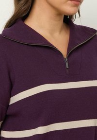 Lila gestrickter Pullover mit einem Halb-Reißverschluss-Kragen. Verfügt über crèmefarbene horizontale Streifen und eine glatte Textur. Nahaufnahme, die den Kragen und den Reißverschluss zeigt.
