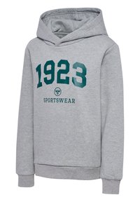 Grå hættetrøje lavet af blødt stof med store grønne tal "1923" og "SPORTSWEAR" trykt nedenunder. Ribstrikkede manchetter og kant.