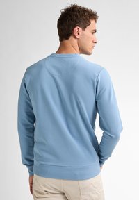 Felpa azzurra chiara in un tessuto morbido, con maniche lunghe, scollatura tonda e un design semplice con un giromanica arrotondato sul retro.