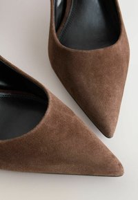 Paire de chaussures pour femmes en daim marron à bout pointu avec doublure intérieure noire, présentées sur un fond clair.