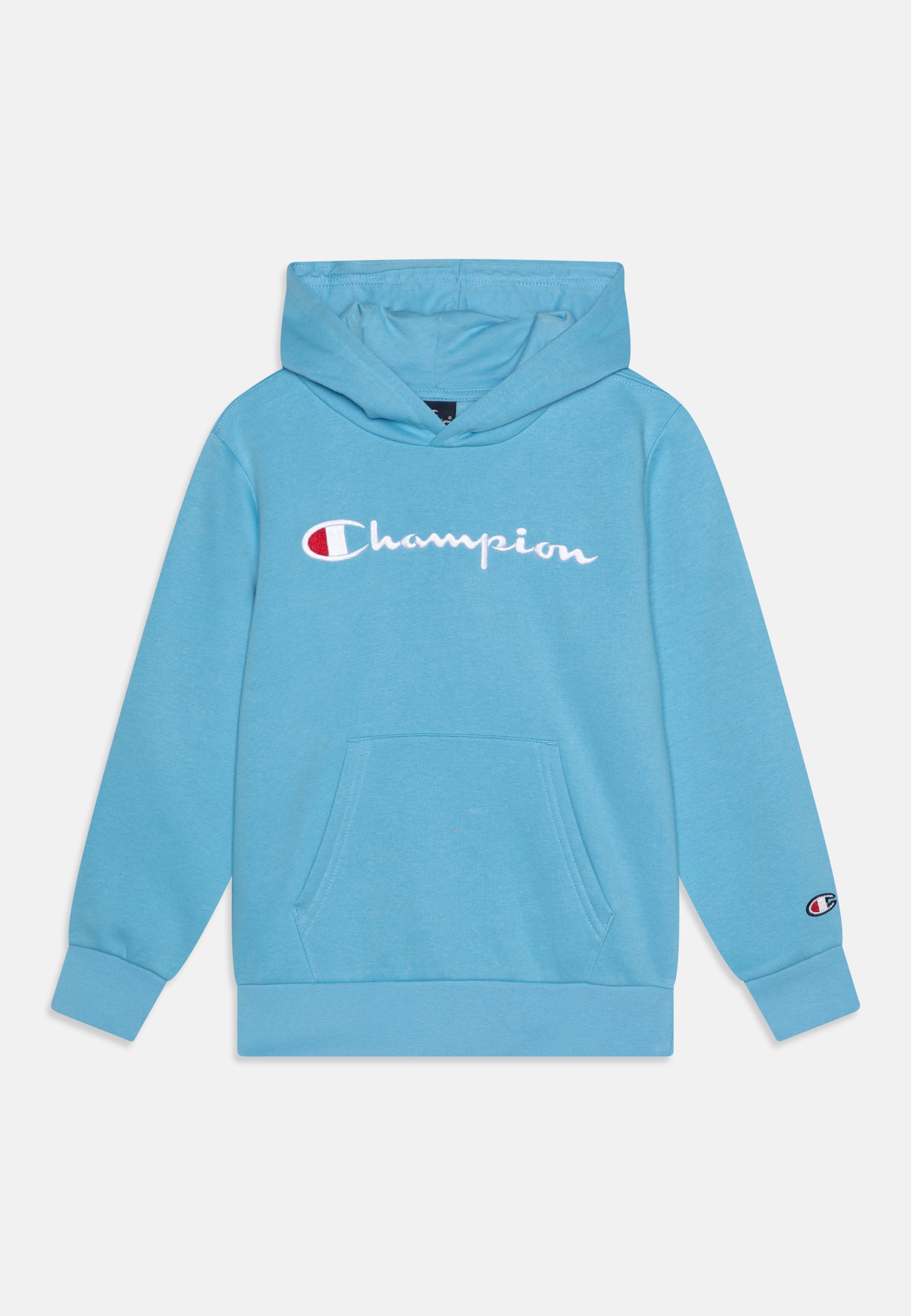 Champion Hoodie Hellblau Champion Blauer Hoodie Hooded