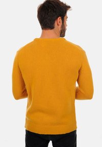 Mahogany ATMAN - Pullover - mustard