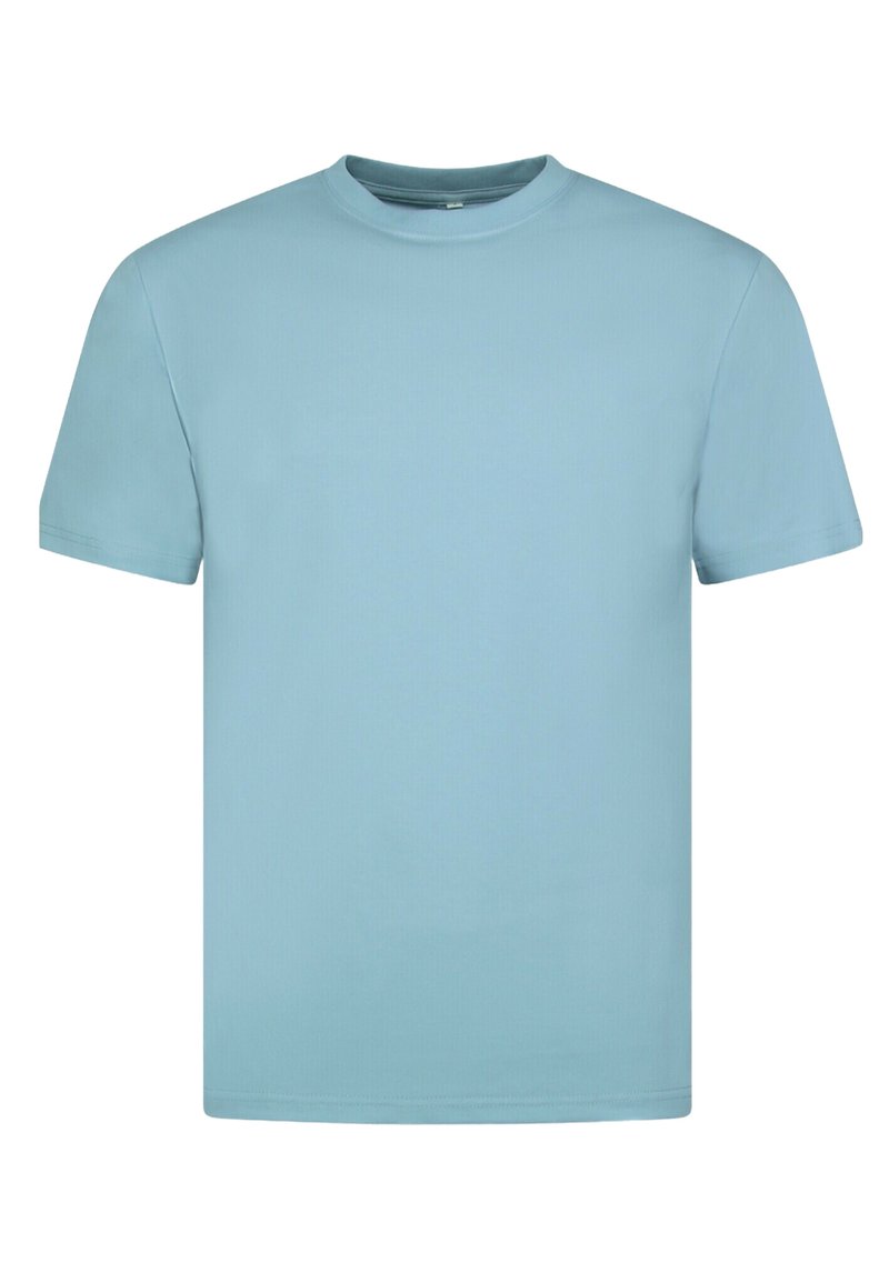 Lichtblauw katoenen T-shirt, korte mouwen, ronde hals, gladde textuur, zonder patronen of ontwerpen, rechte snit aan de zoom.