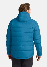 Blaue gepolsterte Jacke mit Kapuze, die ein gesteppte Design und elastische Bündchen aufweist, von hinten betrachtet. Glatte Textur und reguläre Passform.