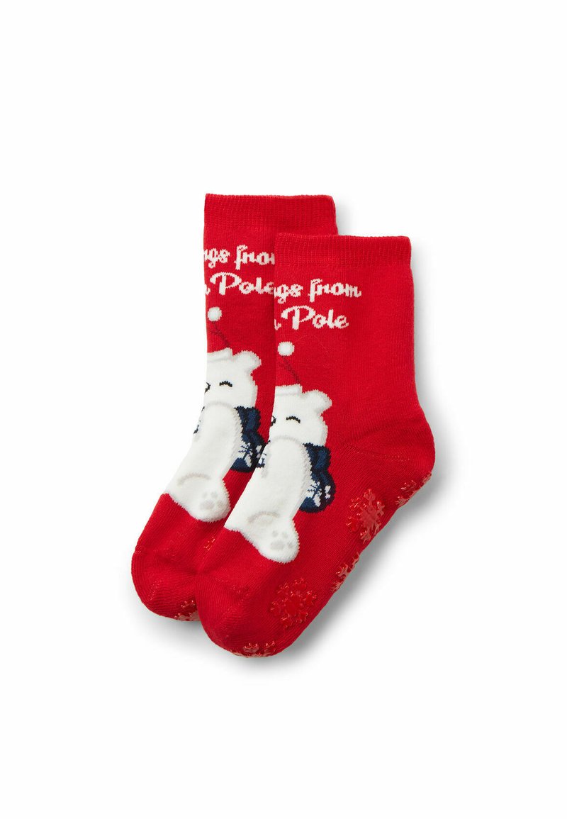 Calze rosse di cotone con un motivo di un orso polare bianco e la scritta "Saluti dal Polo Nord", con motivi di fiocchi di neve sulla suola.