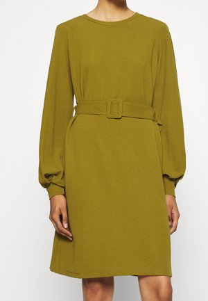 Robe longue à manches longues couleur vert olive avec un col rond et une ceinture ajustée à la taille. Tissu lisse avec une texture subtile et une coupe ample.