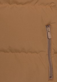 Lacoste BLOUSON CORE ESSENTIALS - Zimska jakna - cookie